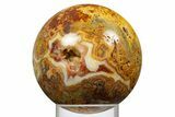 Polished Crazy Lace Agate Sphere - Mexico #308265-1